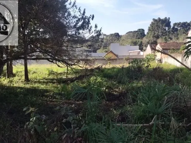 Imagem 13: Terreno 507,00M2 em Piraquara !!!