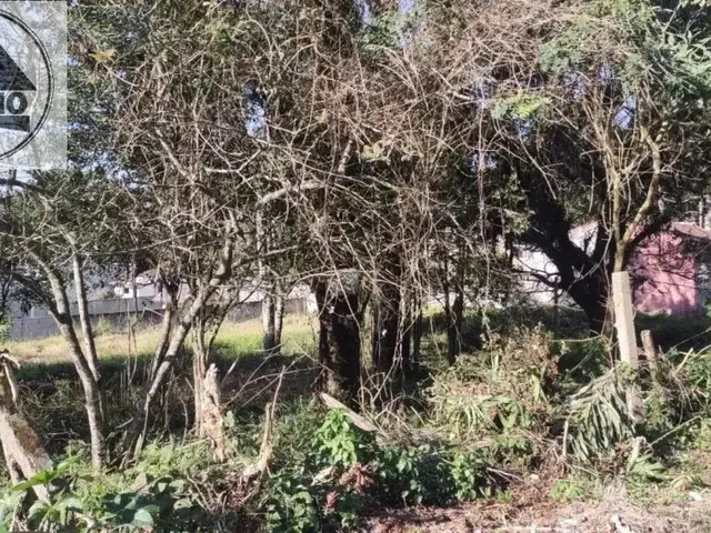 Imagem 12: Terreno 507,00M2 em Piraquara !!!