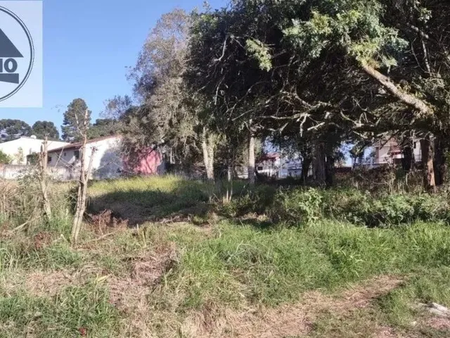 Imagem 5: Terreno 507,00M2 em Piraquara !!!