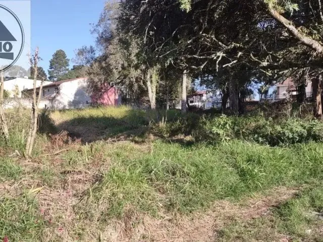 Imagem 10: Terreno 507,00M2 em Piraquara !!!