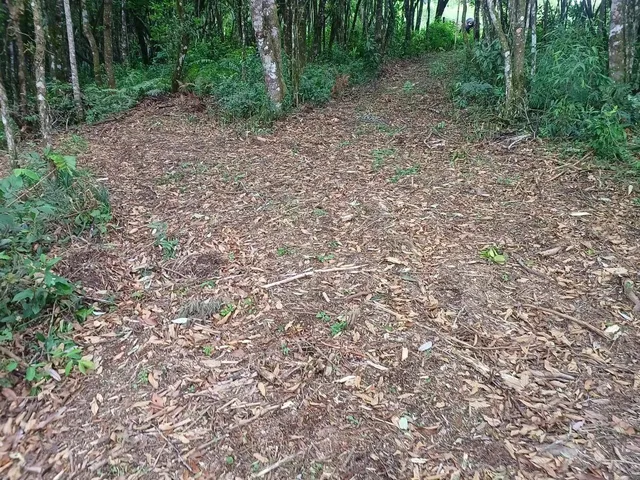 Imagem 6: Chácara para Venda