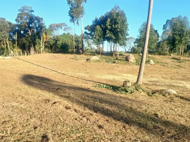 Imagem 5: Chácara para Venda