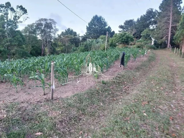 Imagem 7: Chácara com 1 Dormitorio(S) Localizado(A) no Bairro Área Rural em Bocaiúva do Sul