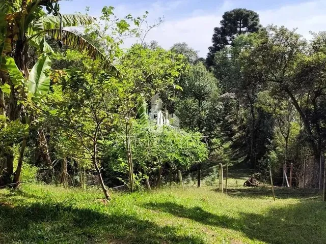 Imagem 12: Chácara com 1 Dormitorio(S) Localizado(A) no Bairro Área Rural em Bocaiúva do Sul