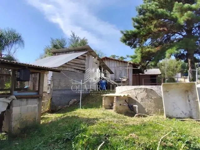 Imagem 9: Chácara com 1 Dormitorio(S) Localizado(A) no Bairro Área Rural em Bocaiúva do Sul