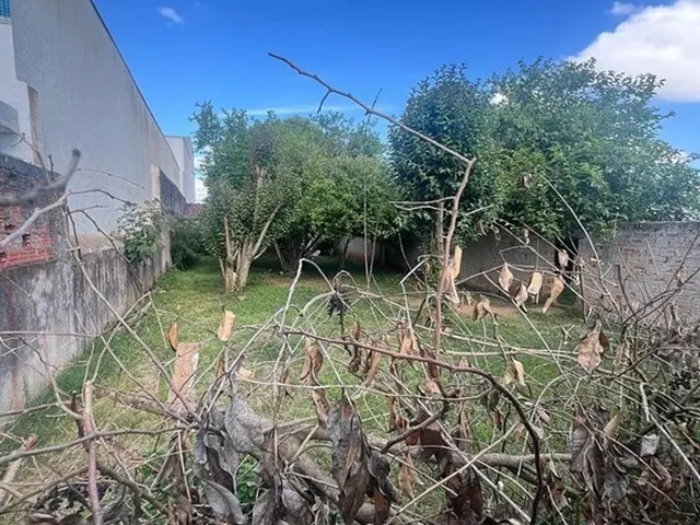 Imagem 3: Dois Terrenos para Venda