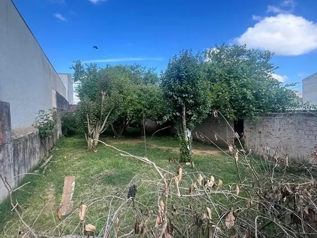 Imagem 8: Dois Terrenos para Venda