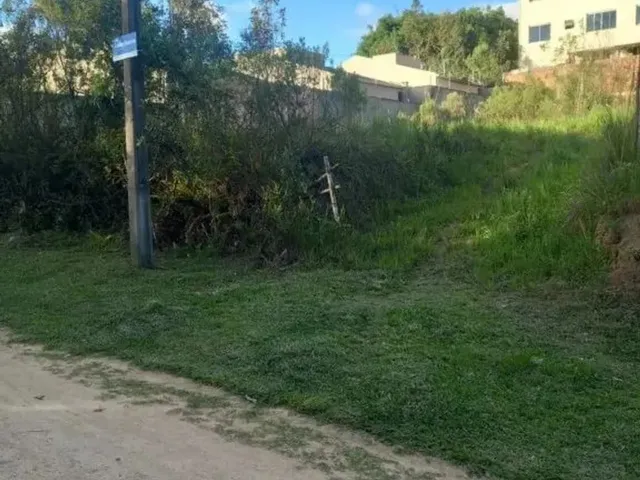 Imagem: Lote a Venda del Rey, São Jose dos Pinhais