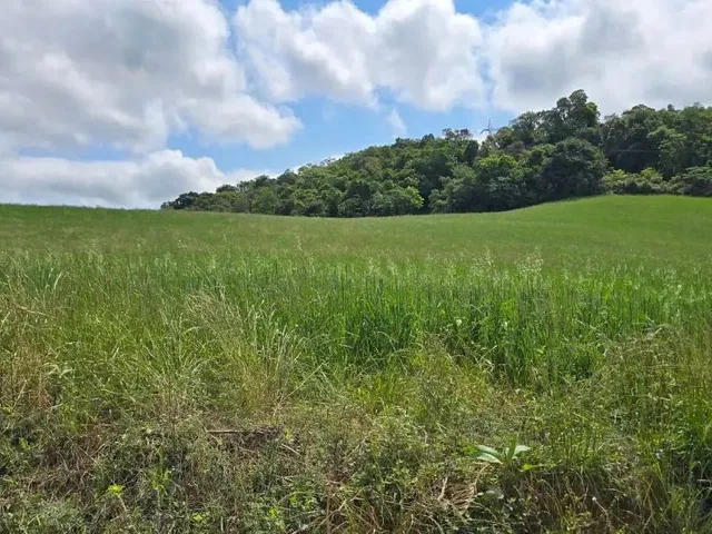 Imagem 1: Imóvel para Venda com 100000 Metros Quadrados em São Caetano - Balsa Nova - Pr