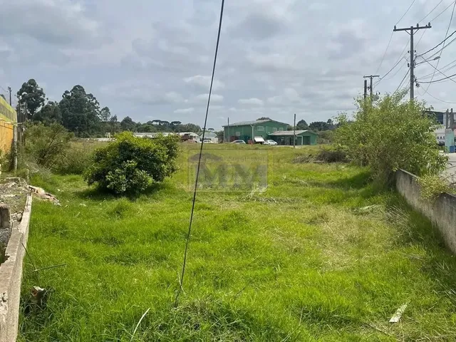 Imagem: Área À Venda com 5546.09M² por R$ 4.400.000,00