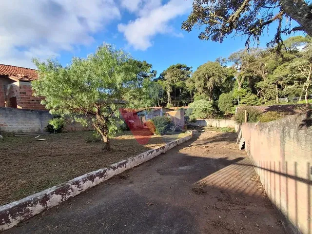 Imagem 2: Terreno Amplo de 432 M À Venda em Campo Largo Próximo À Hd Distribuidora