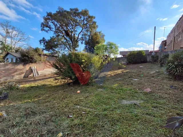 Imagem 3: Terreno Amplo de 432 M À Venda em Campo Largo Próximo À Hd Distribuidora