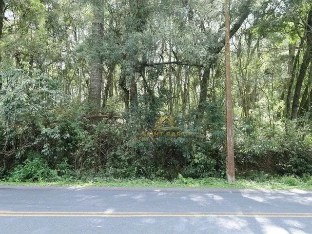 Imagem: 3 Lotes Sendo Dois de 20.000 M² e Um de