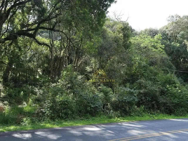 Imagem 7: 3 Lotes Sendo Dois de 20.000 M² e Um de 26.000 M² a Partir de R$ 1.500.000 Ferraria Ca