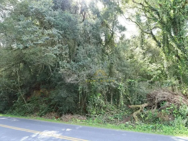 Imagem 11: 3 Lotes Sendo Dois de 20.000 M² e Um de 26.000 M² a Partir de R$ 1.500.000 Ferraria Ca