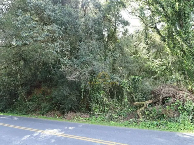 Imagem 12: 3 Lotes Sendo Dois de 20.000 M² e Um de 26.000 M² a Partir de R$ 1.500.000 Ferraria Ca