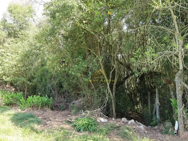 Imagem 9: 3 Lotes Sendo Dois de 20.000 M² e Um de 26.000 M² a Partir de R$ 1.500.000 Ferraria Ca