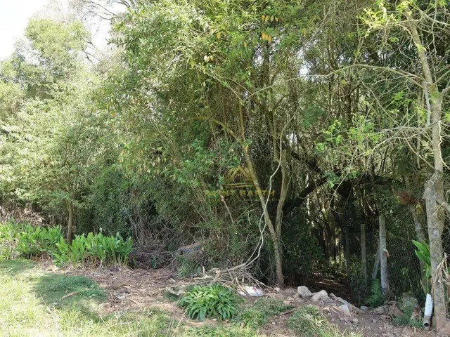 Imagem 3: 3 Lotes Sendo Dois de 20.000 M² e Um de 26.000 M² a Partir de R$ 1.500.000 Ferraria Ca