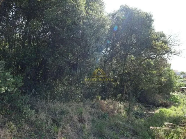 Imagem 10: 3 Lotes Sendo Dois de 20.000 M² e Um de 26.000 M² a Partir de R$ 1.500.000 Ferraria Ca