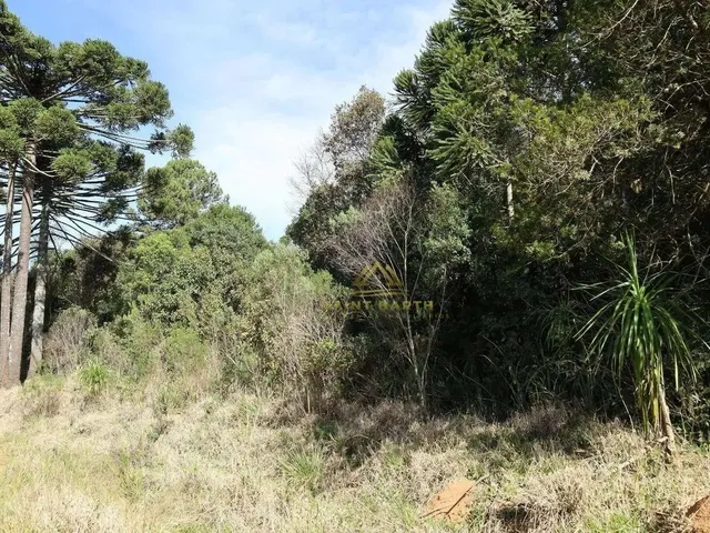 Imagem 8: 3 Lotes Sendo Dois de 20.000 M² e Um de 26.000 M² a Partir de R$ 1.500.000 Ferraria Ca