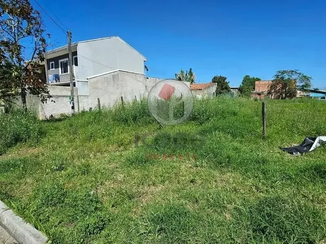 Imagem 4: Terreno em Pinhais no Weissópolis