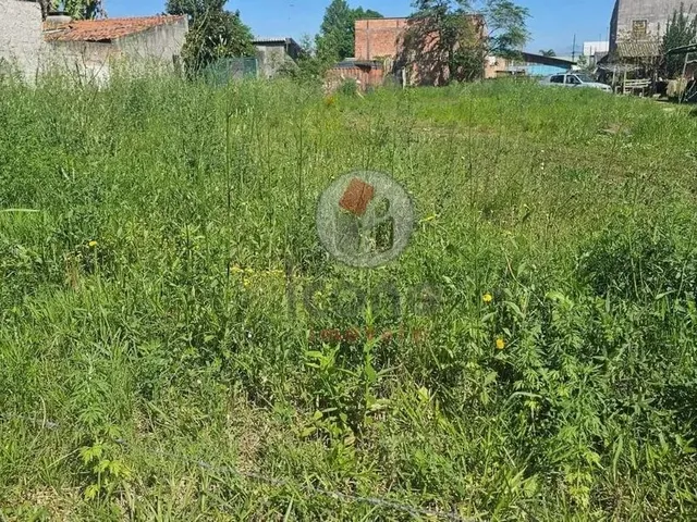 Imagem 7: Terreno em Pinhais no Weissópolis