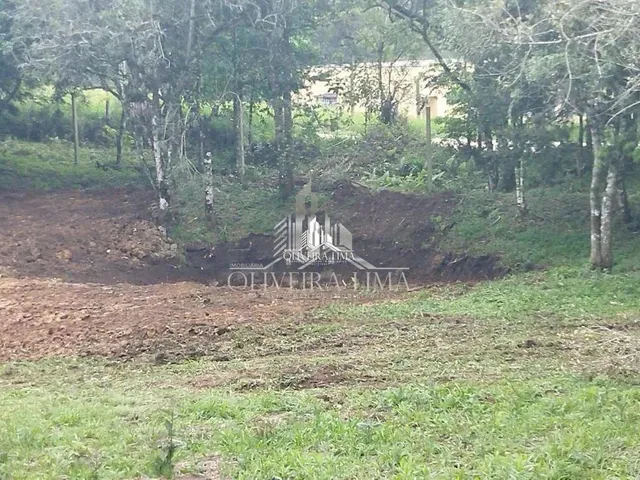 Imagem 7: Terreno com 3 Dormitorio(S) Localizado(A) no Bairro Chacaras Olhos D Agua em Campina Grand