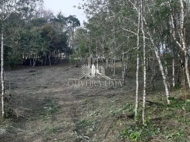 Imagem 10: Terreno com 3 Dormitorio(S) Localizado(A) no Bairro Chacaras Olhos D Agua em Campina Grand