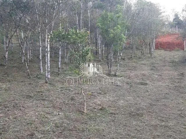 Imagem 4: Terreno com 3 Dormitorio(S) Localizado(A) no Bairro Chacaras Olhos D Agua em Campina Grand