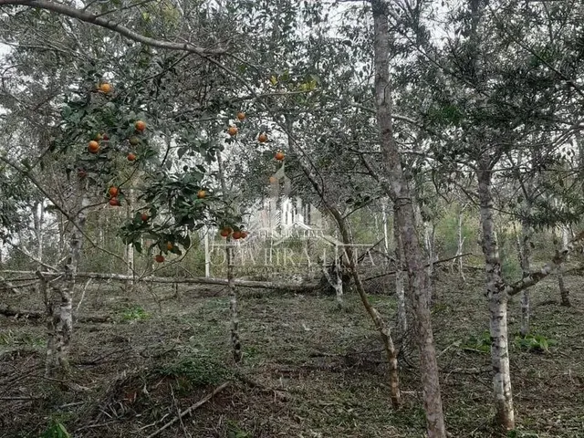 Imagem 3: Terreno com 3 Dormitorio(S) Localizado(A) no Bairro Chacaras Olhos D Agua em Campina Grand