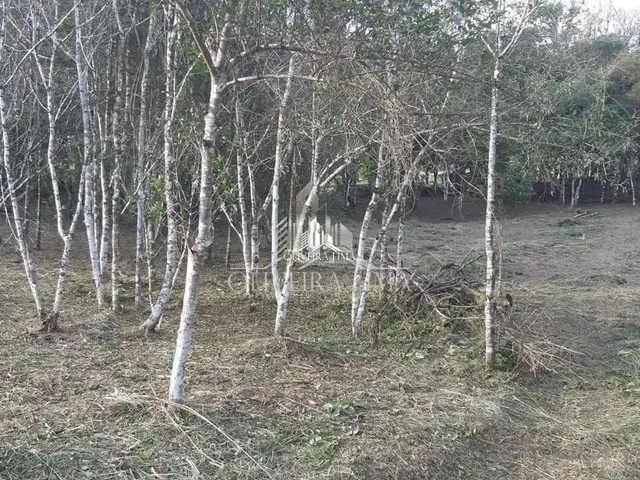 Imagem 13: Terreno com 3 Dormitorio(S) Localizado(A) no Bairro Chacaras Olhos D Agua em Campina Grand