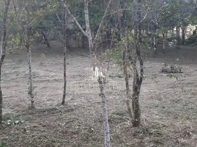 Imagem 12: Terreno com 3 Dormitorio(S) Localizado(A) no Bairro Chacaras Olhos D Agua em Campina Grand