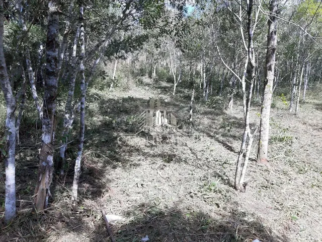 Imagem 8: Terreno com 3 Dormitorio(S) Localizado(A) no Bairro Chacaras Olhos D Agua em Campina Grand