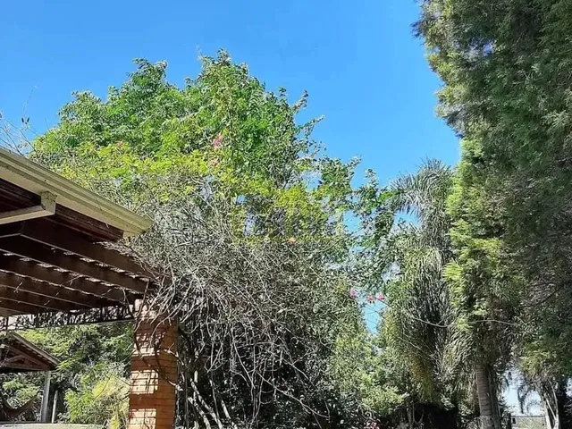 Imagem 12: Descubra Seu Refúgio Exclusivo em Pinhais: Chácara no Condomínio Greenfields