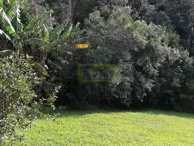 Imagem 9: Descubra Seu Refúgio Exclusivo em Pinhais: Chácara no Condomínio Greenfields