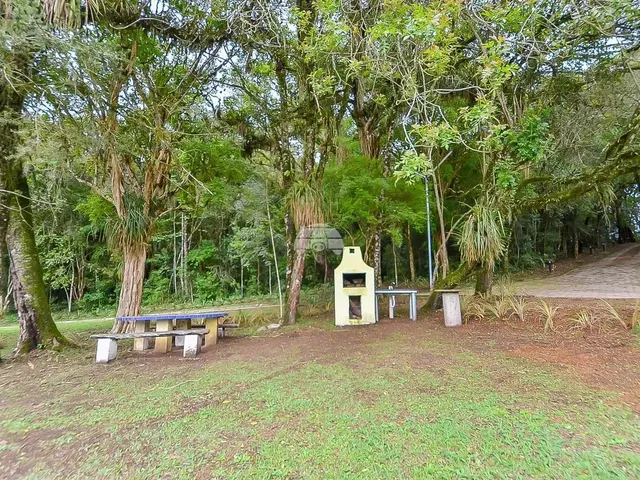 Imagem 3: Vendas Chácara Mandirituba Pr