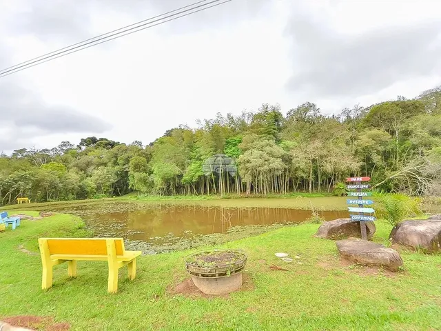 Imagem 9: Vendas Chácara Mandirituba Pr