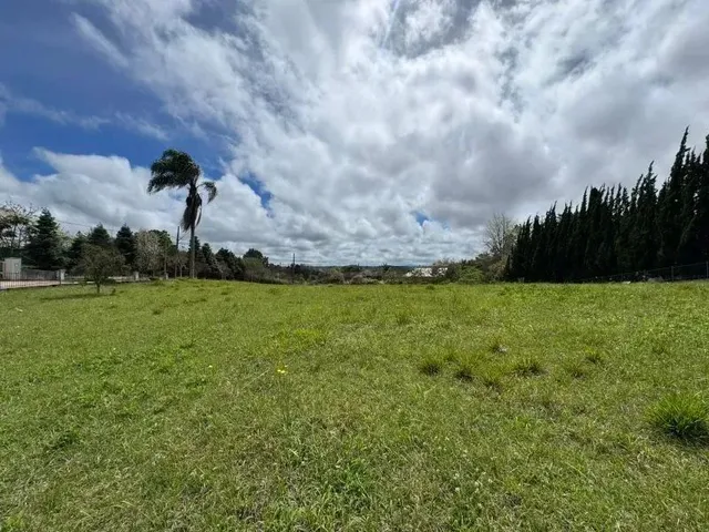Imagem 12: Terreno Condomínio Quatro Barras - Pr