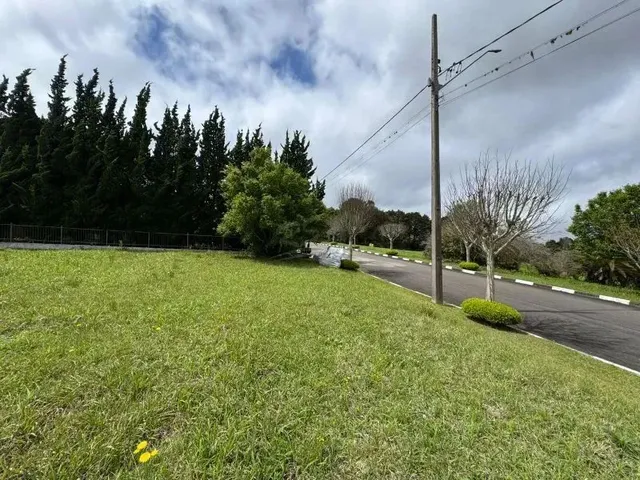 Imagem 13: Terreno Condomínio Quatro Barras - Pr