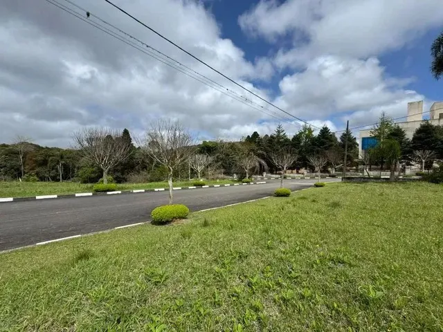Imagem 7: Terreno Condomínio Quatro Barras - Pr