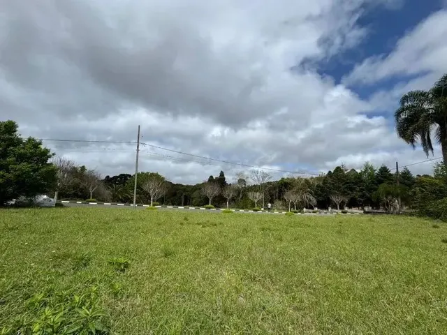 Imagem 6: Terreno Condomínio Quatro Barras - Pr