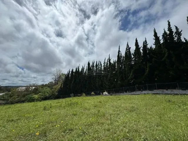 Imagem 9: Terreno Condomínio Quatro Barras - Pr