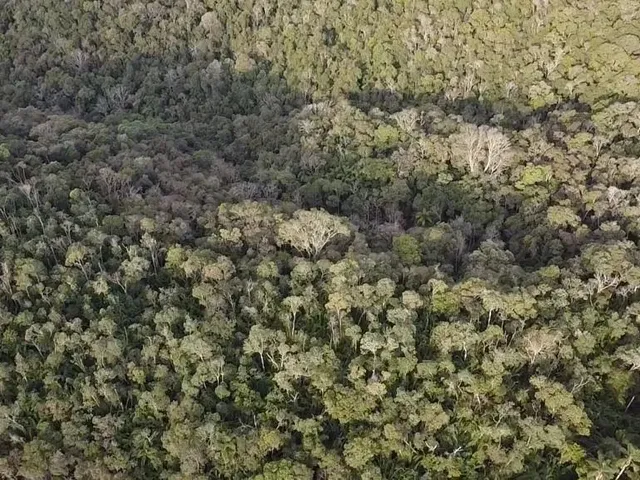Imagem 1: Chácara 63.000 M em Campo Magro- Paraná