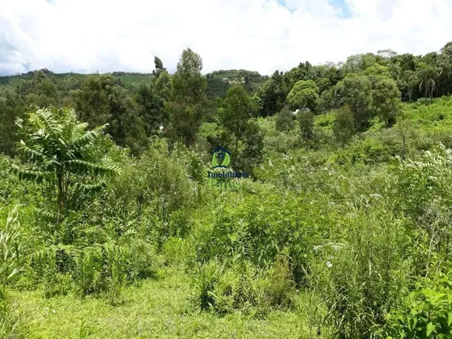 Imagem 3: Chácara com 4.068M² em Mandirituba - Pr