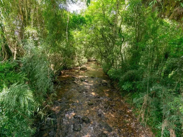 Imagem 8: Chácara com 899Mil M² À Venda em Campo Largo!