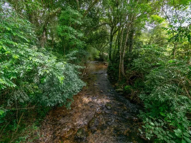 Imagem 16: Chácara com 899Mil M² À Venda em Campo Largo!