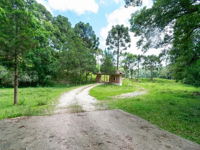 Imagem 6: Chácara com 899Mil M² À Venda em Campo Largo!