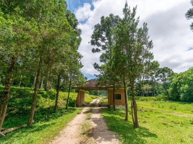 Imagem 12: Chácara com 899Mil M² À Venda em Campo Largo!