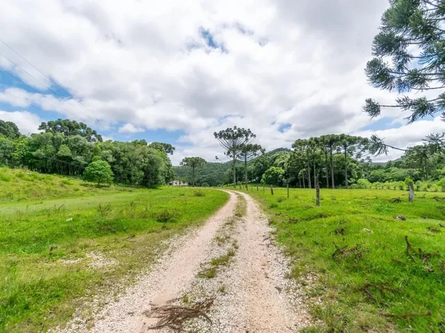Imagem 7: Chácara com 899Mil M² À Venda em Campo Largo!