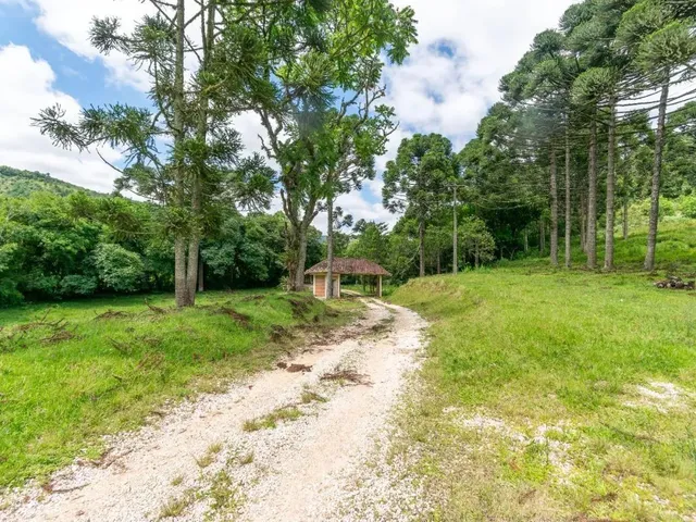 Imagem 15: Chácara com 899Mil M² À Venda em Campo Largo!